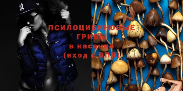 тгк Арсеньев